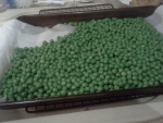 peas defrosting