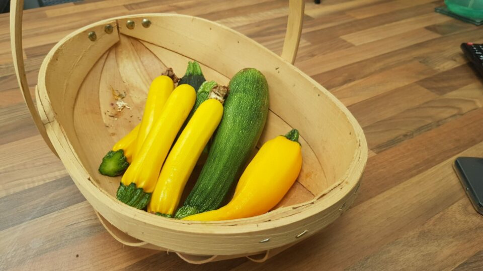trug of courgettes